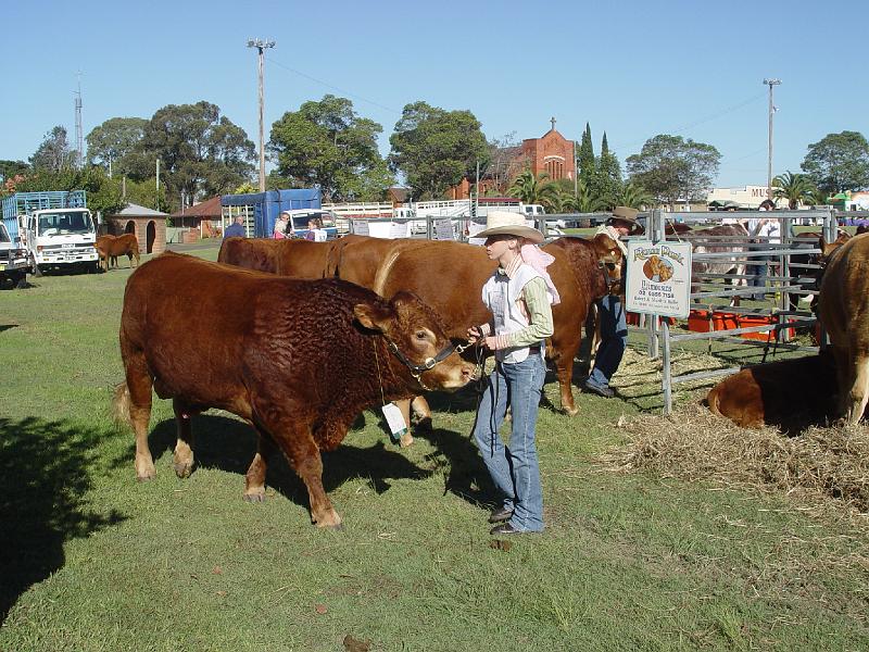 beef-week 003.jpg